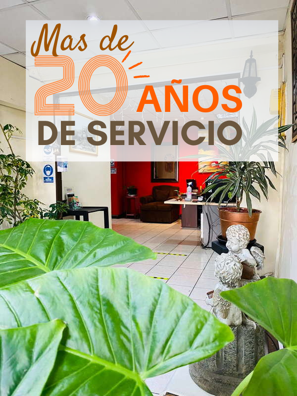 20 años