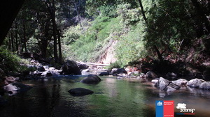 Parque Nacional Nonguén